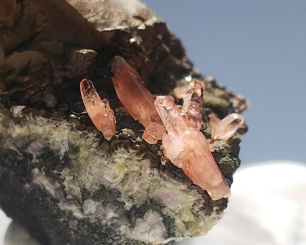 337 ロードクロサイト インカローズ 犬牙状 結晶 母岩付き