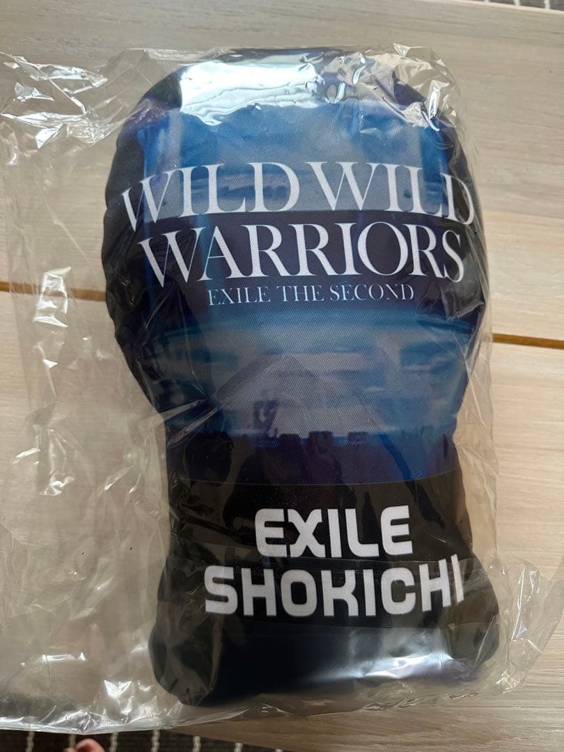 EXILE SHOKICHI クッション