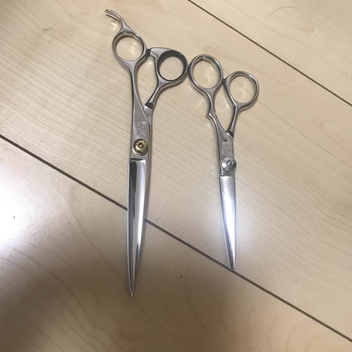 シザー カラーカップ