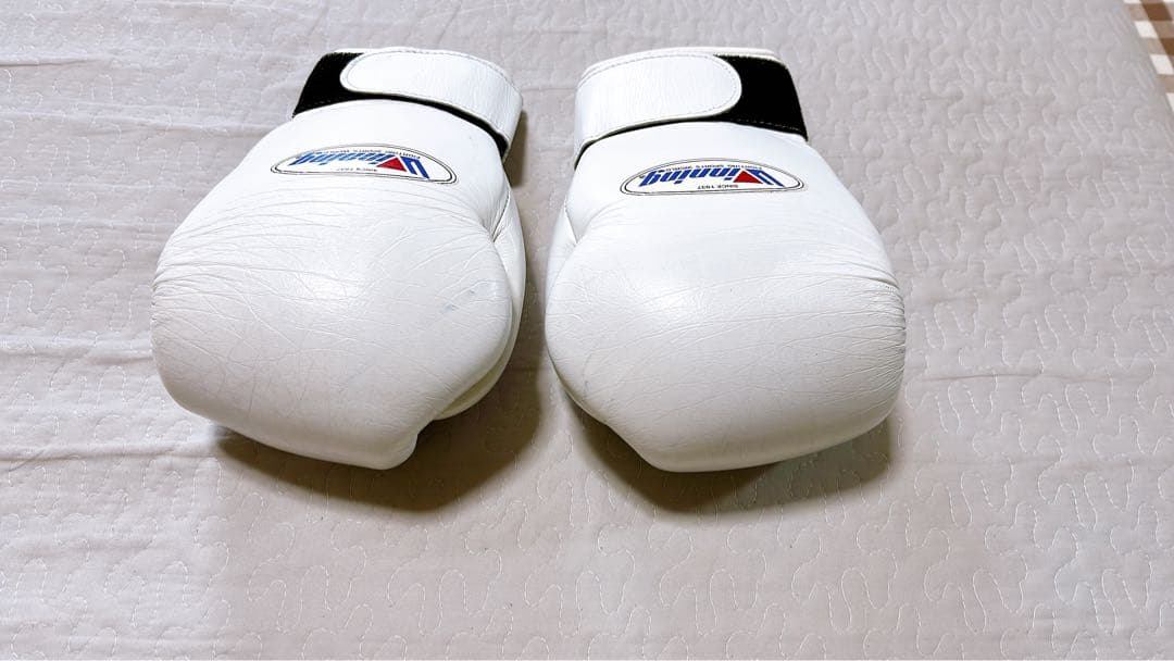 Winning ボクシンググローブ 10oz ホワイト