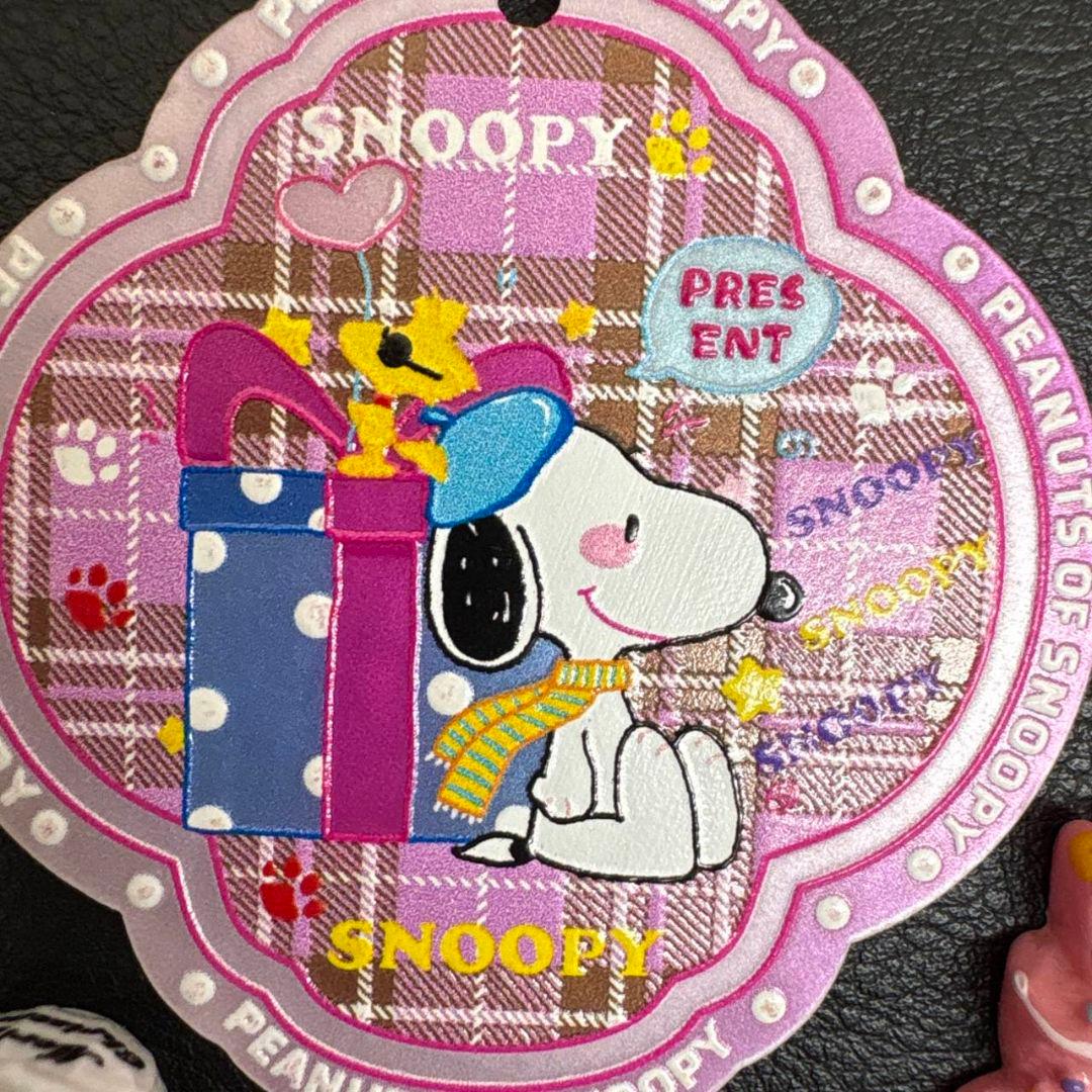 プレゼント専用の為　購入不可 スヌーピーデコレーションパーツ１０点盛り