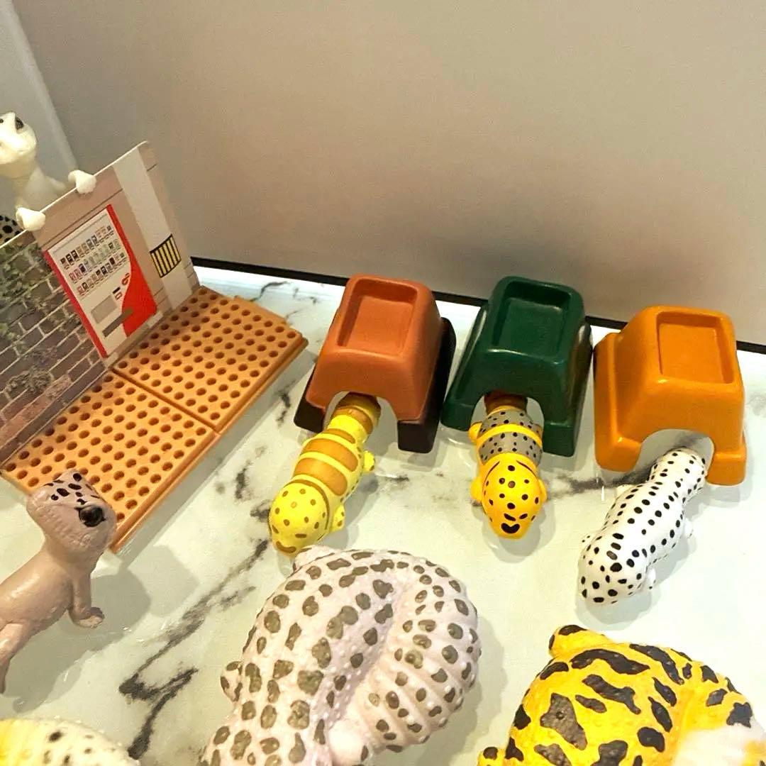 ヒョウモントカゲモドキ レオパ 爬虫類 いきもの大図鑑 ガチャ 食玩 フィギュア