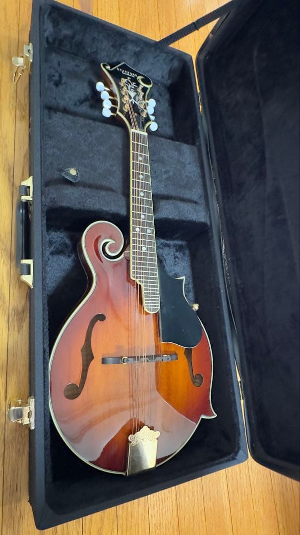 STAFFORD Traditional マンドリン 本体 ハードケース付き