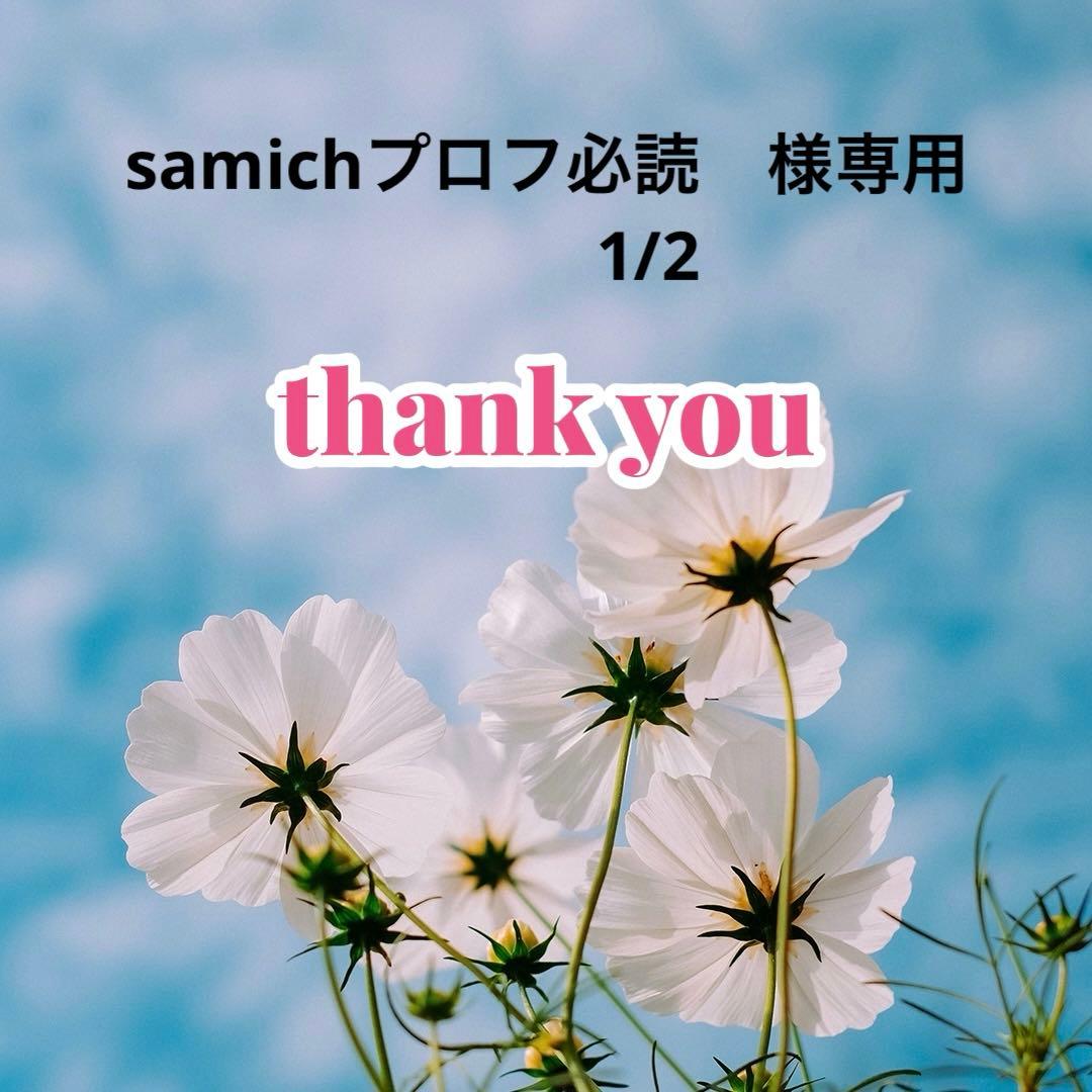 samichプロフ必読