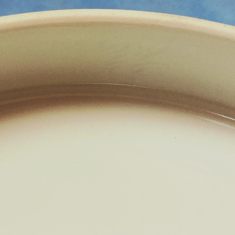 【値下げ】 【真作保証】 市川龍仙 色鍋島 色絵木犀文 七寸皿