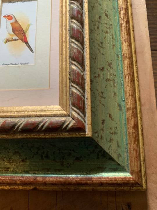 イギリスアンティーク　シガレットカード額装