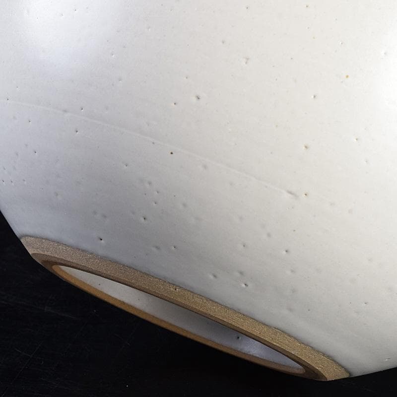 九谷焼　九谷　中村外志人（陶志人）作　色絵　葡萄文　花瓶　共箱　M　R8808B