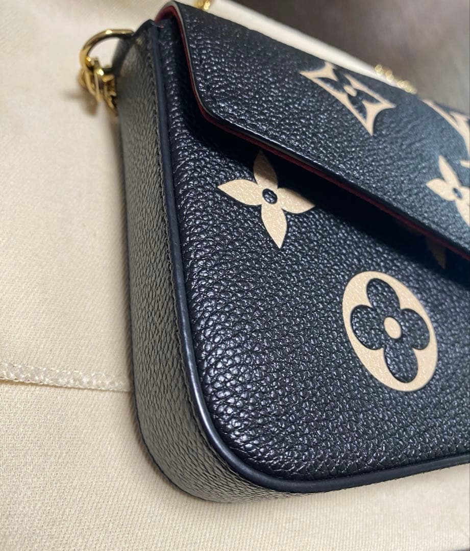 LOUIS VUITTON ルイヴィトン ポシェットフェリシー バック 本体のみ