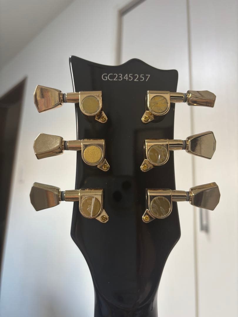 ギター GrassRoots G-EC CTM QM