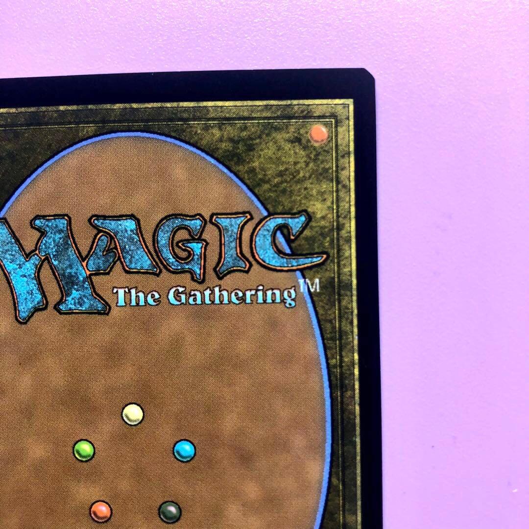 MTG 永劫の好奇心　ショーケース フラクチャーFoil 日本語