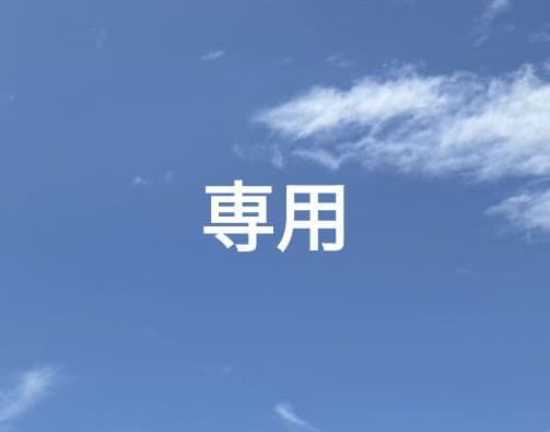 専用 スキンケア 洗顔グッズ 90g