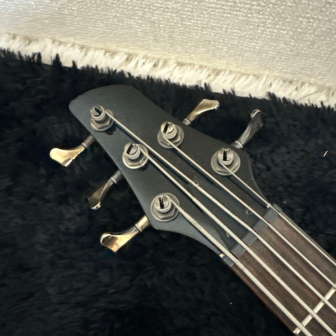 エレキベース 5弦 弦楽器 黒 多弦ベース レア ブラック