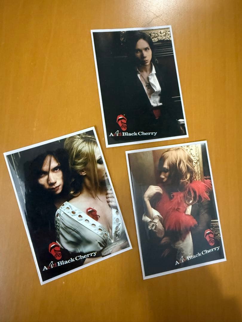 y*u様 Acid Black Cherry トレカセット