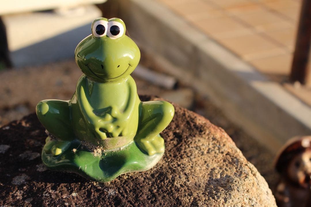 【ショット数極僅】Canon Kiss X7 ホワイト 希少色 スマホ転送◎