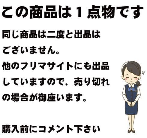 処分【フェス限定】　絶版　Hi-ν GUNDAM HWS　1/100 新品