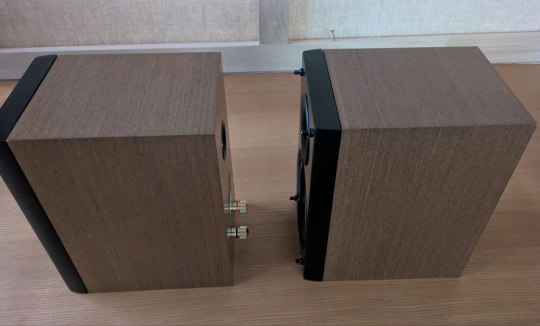 Pioneer　スピーカー　S-CN301-LR