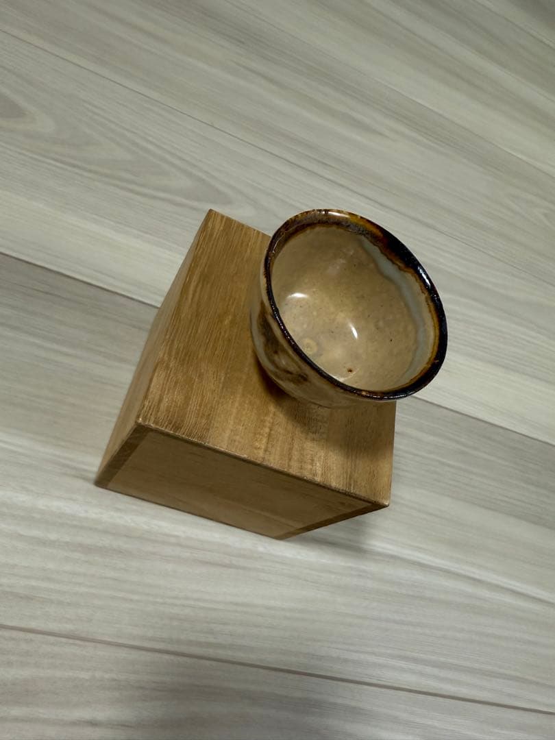 作家:有元容子　作品　計6点