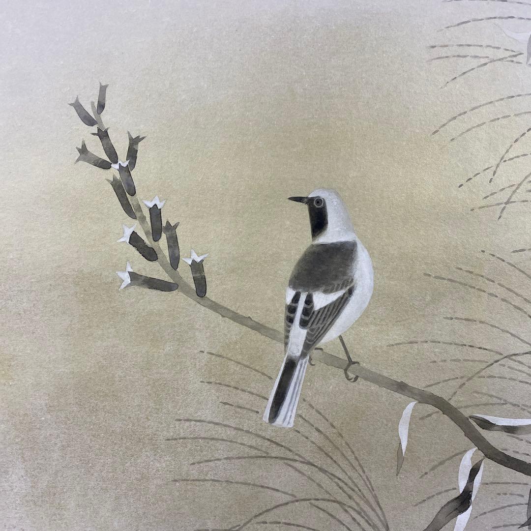 美品 掛軸 富田保和作「鶲くる」共箱 太巻き付 花鳥