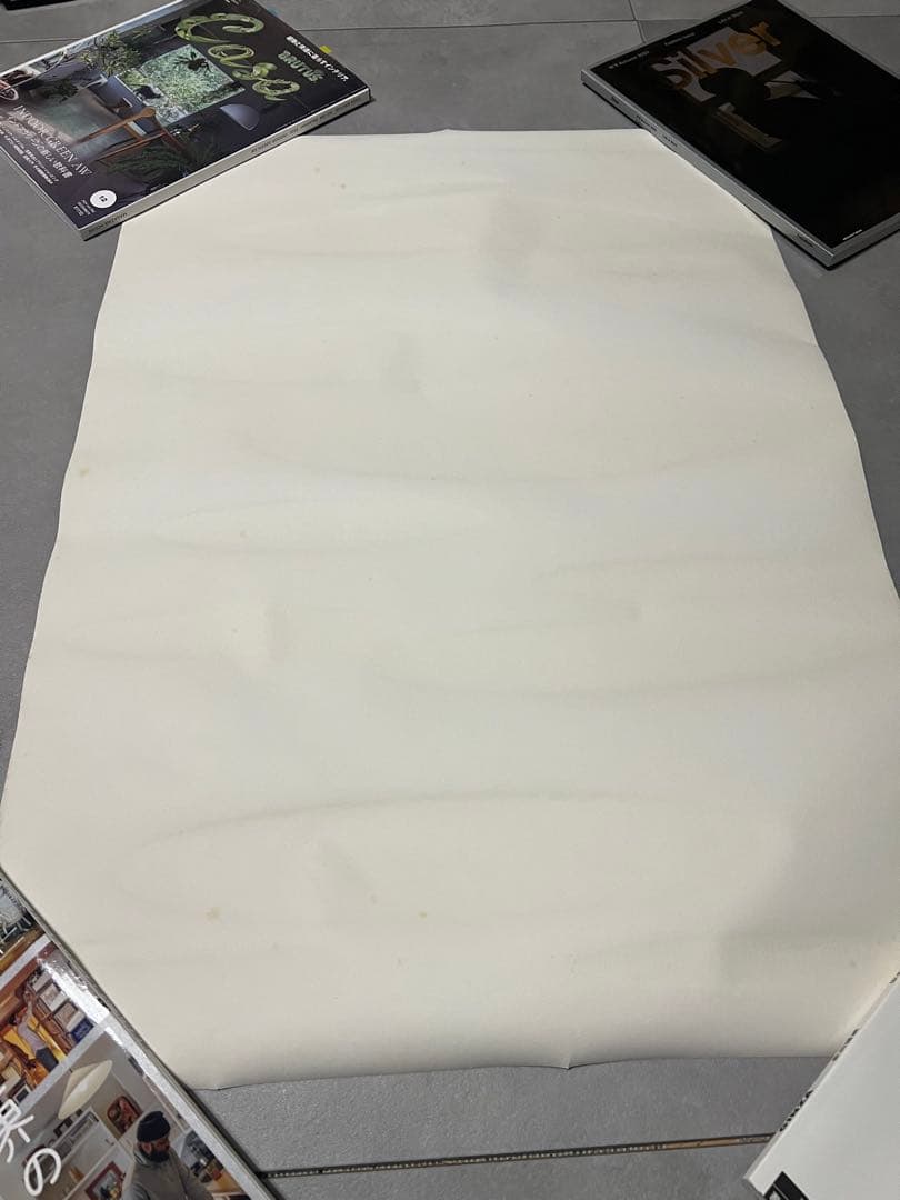 【いりわた】SPOT うるう B2ポスター2枚組