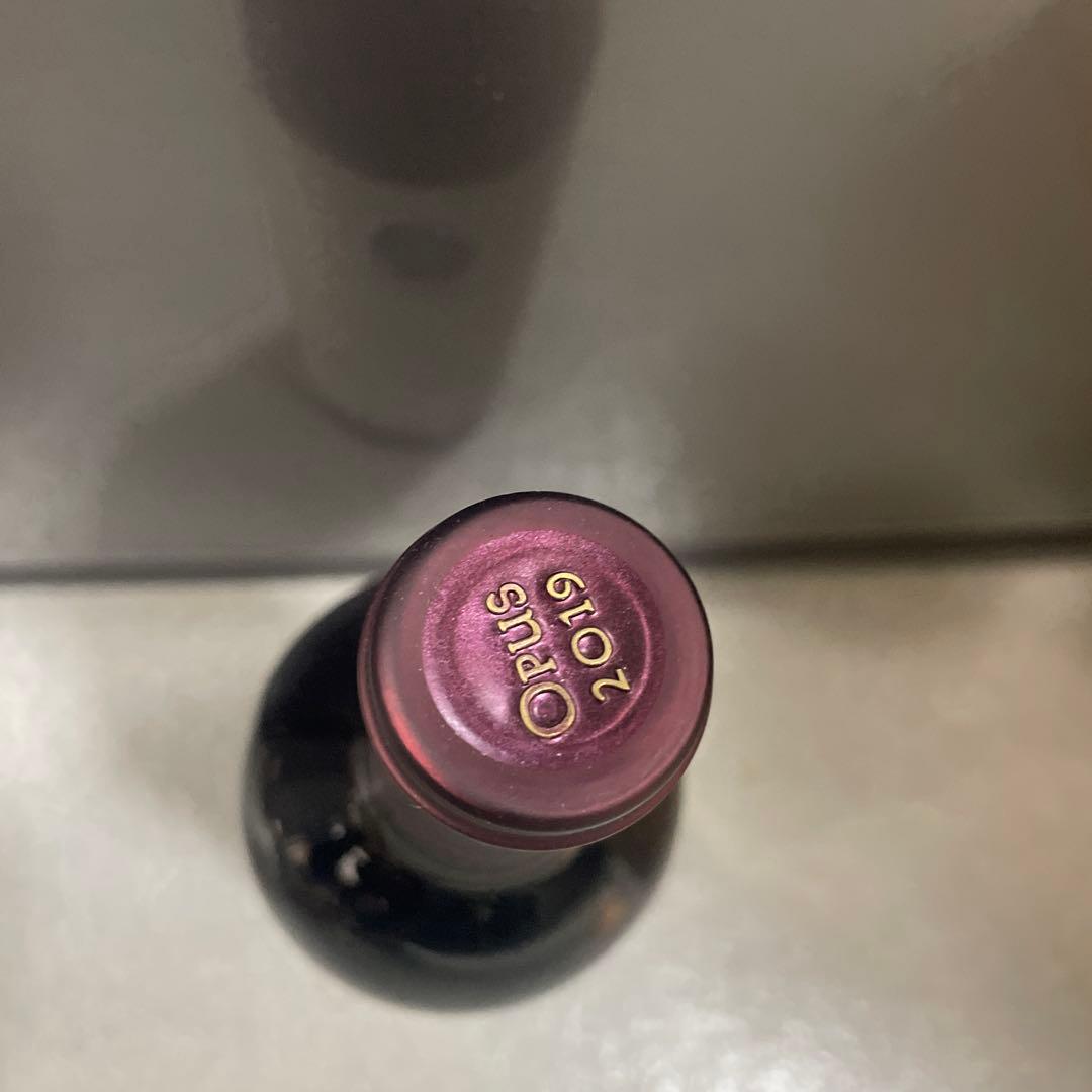 オーパス・ワン 750ml Opus One 2019 （17）