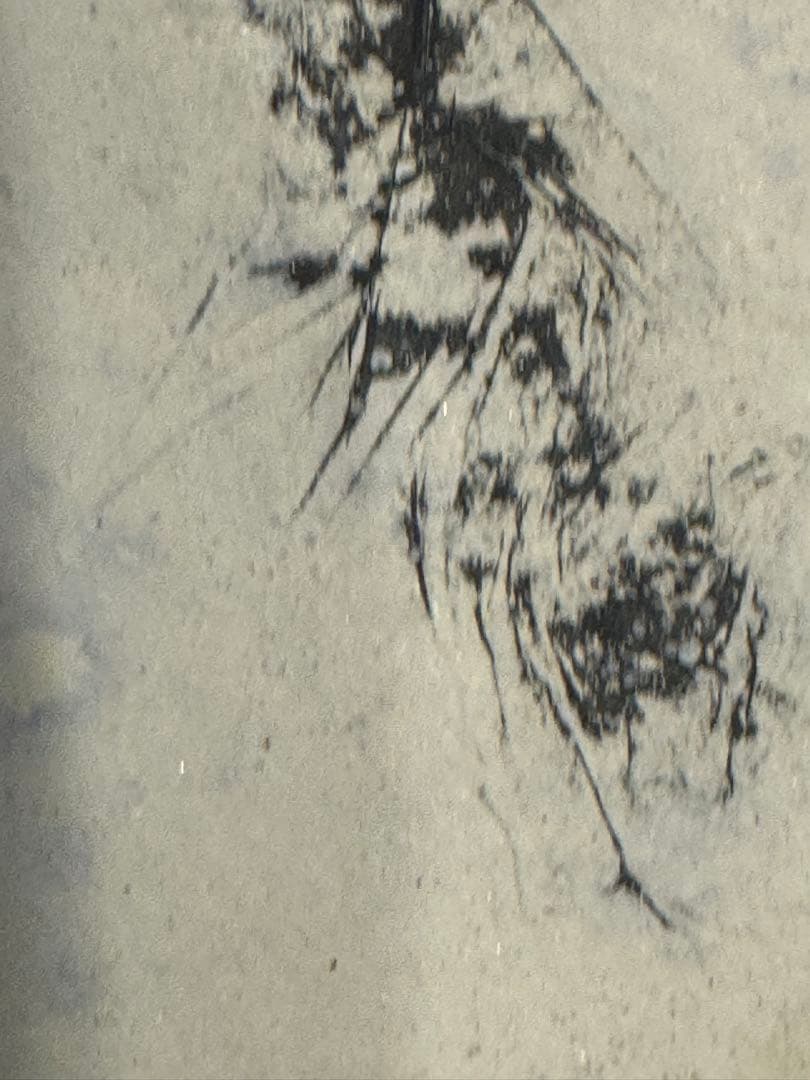 絵画　桝田隆一氏　雪林　額装付き