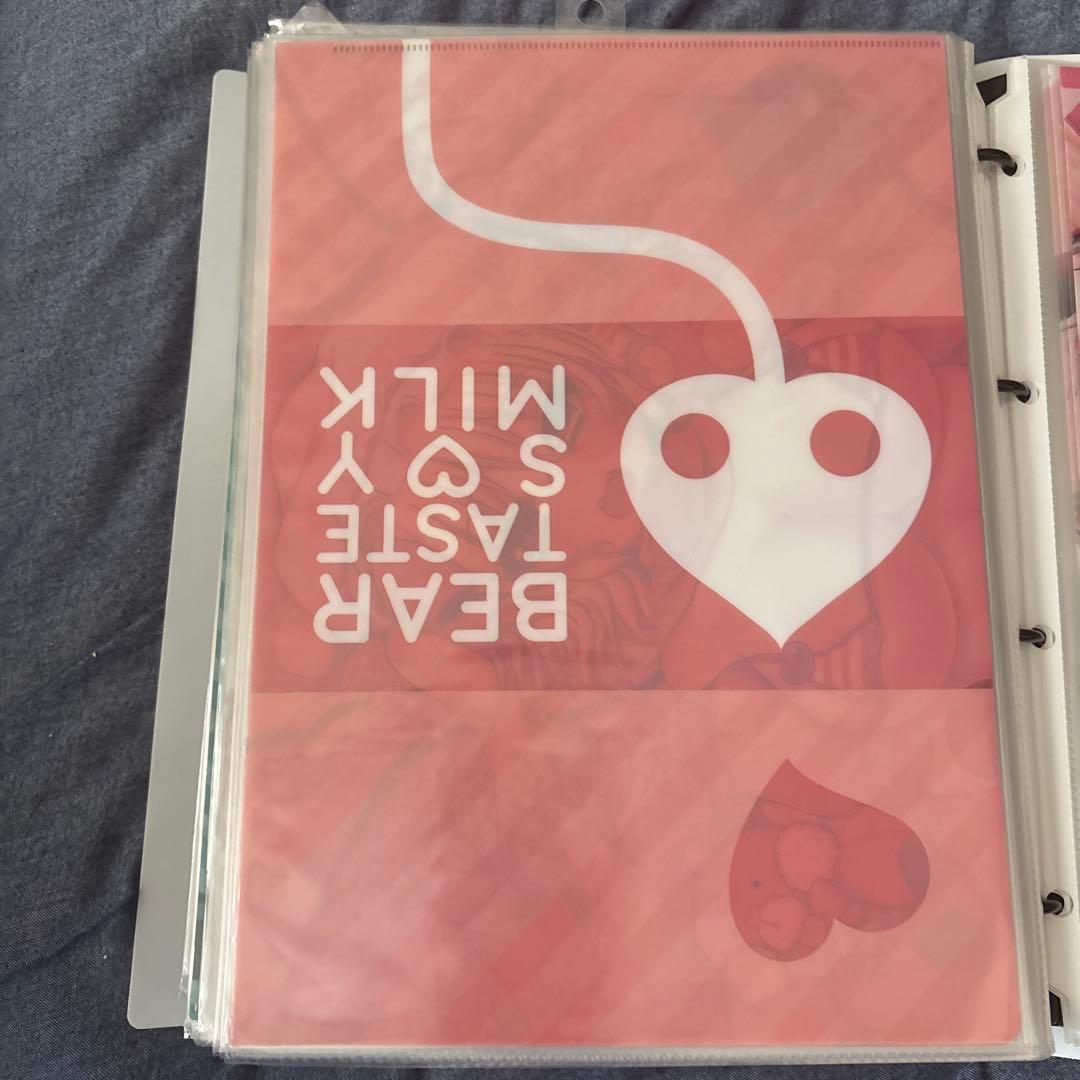 東方プロジェクト　フランドール　水着　美少女　クリアファイル　VY6