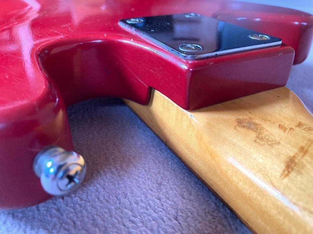 グヤトーン LG-85T 1960s ORIGINAL FOIL PUPS