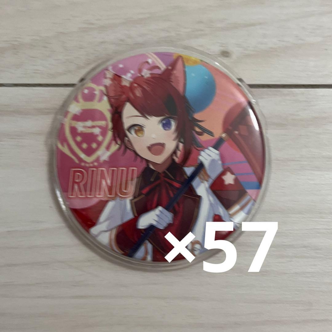 莉犬 缶バッジ アリツア 前半 旗持ち（値下げ中）