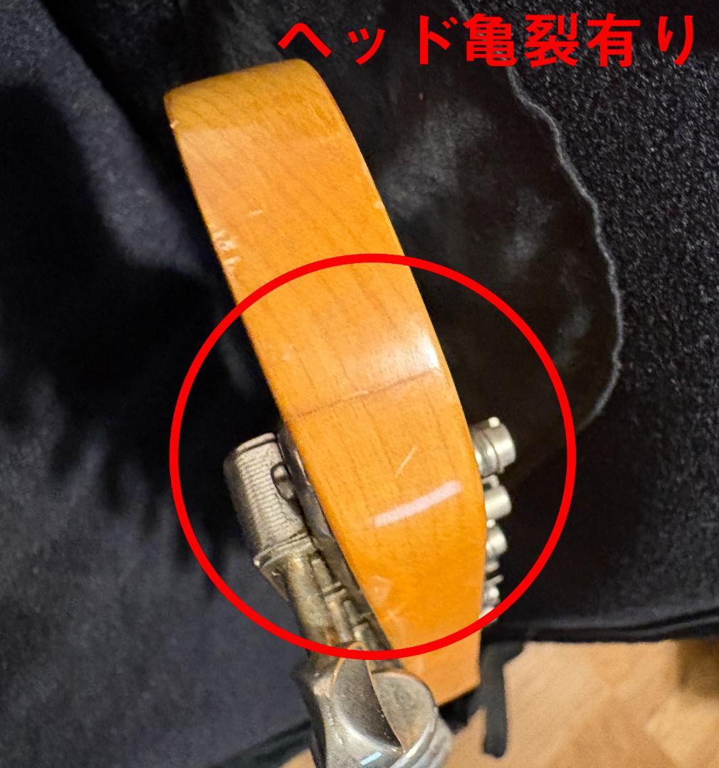 Fender Bass VI サンバースト