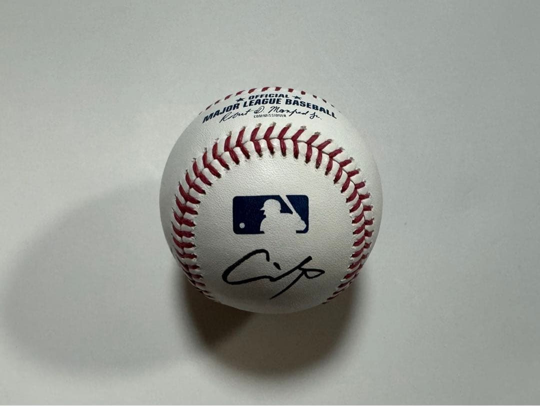 大谷翔平 山本由伸 佐々木朗希MLB 公式球 試合球 直筆サインボール