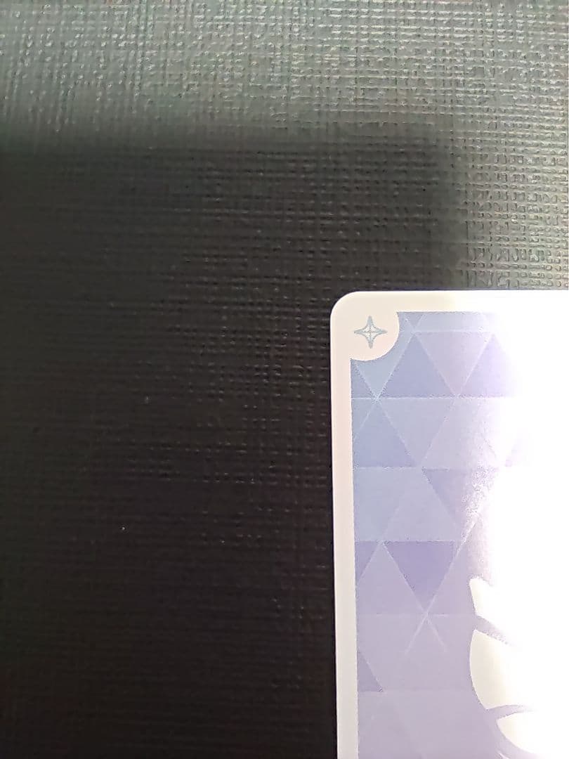 ホロカ　尾丸ポルカ　シークレット