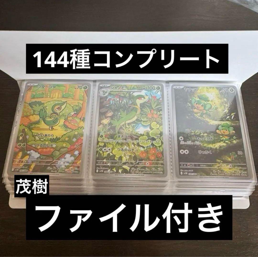 専用　ブラックボルト　ホワイトフレア　AR 144種　ファイル付き