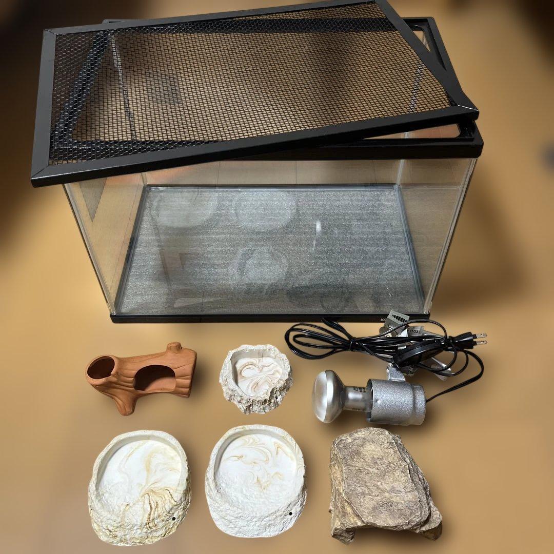 爬虫類 トカゲ カナヘビ 飼育セット　紫外線ライト 保温ライト