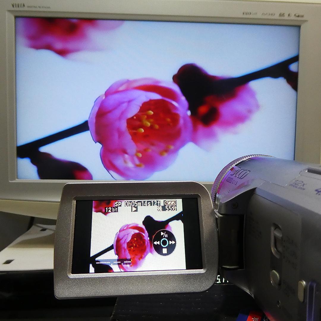 動作良好 パナソニックNV-GS500 MiniDVビデオ　デジタルダビングに