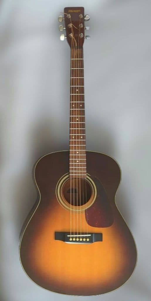 Morris エレアコギター ＭＦ-256ＴＳサンバースト