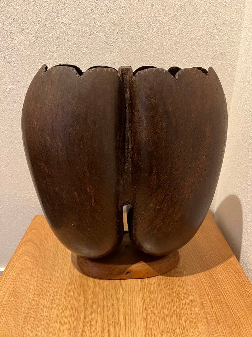 フタゴヤシの置きもの