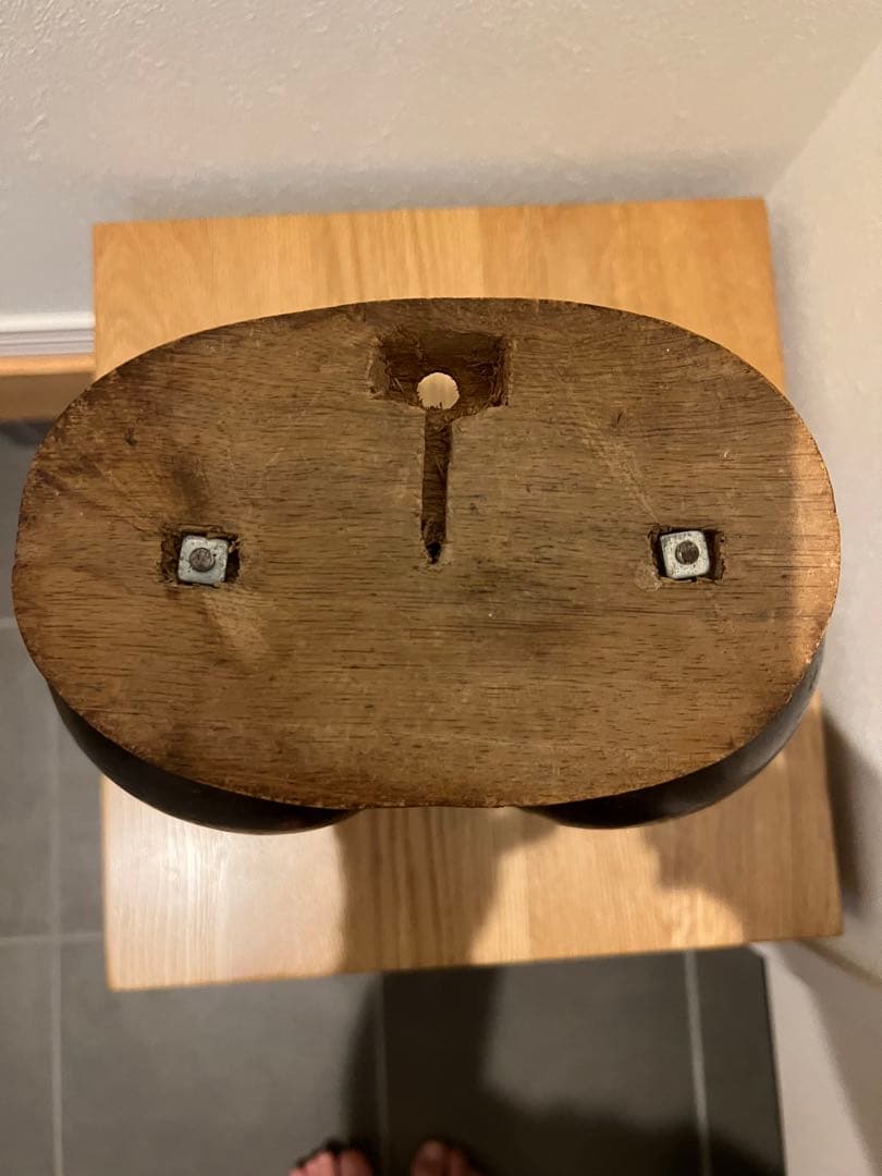 フタゴヤシの置きもの