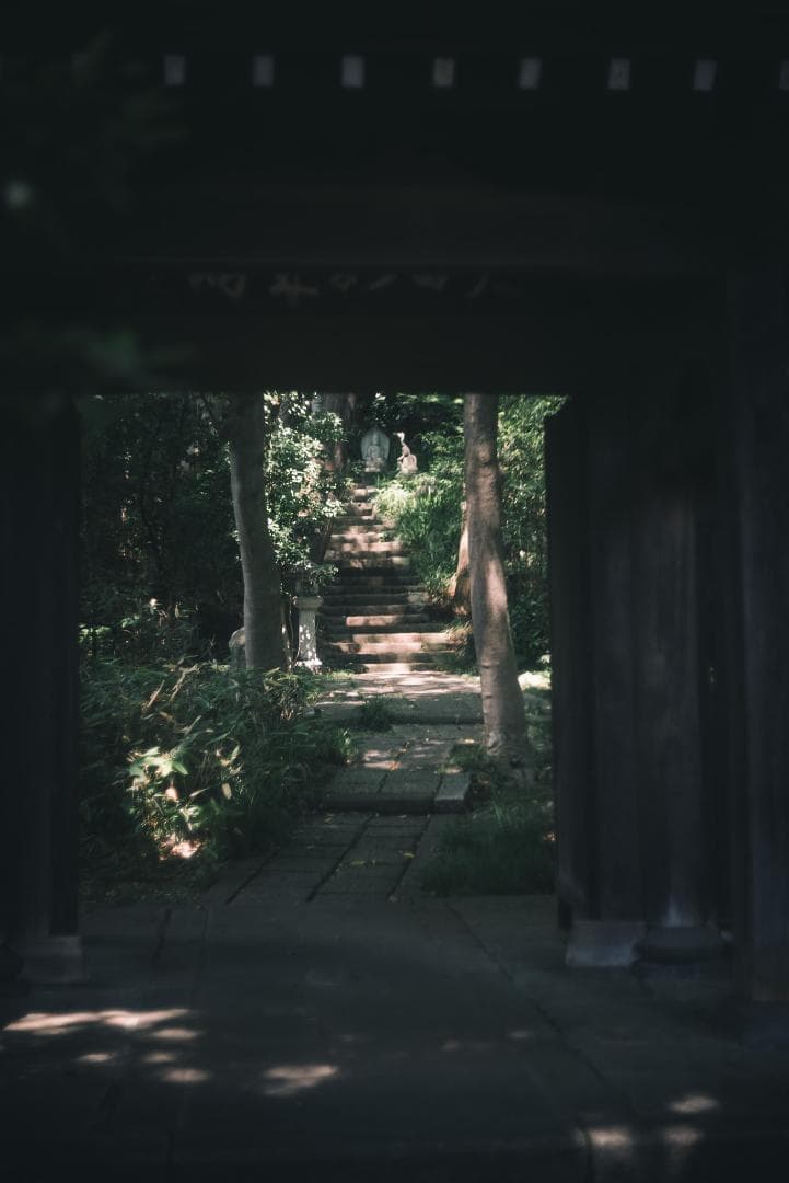 N O Go様虹の出る癖玉！Leica Summar 50mm f2