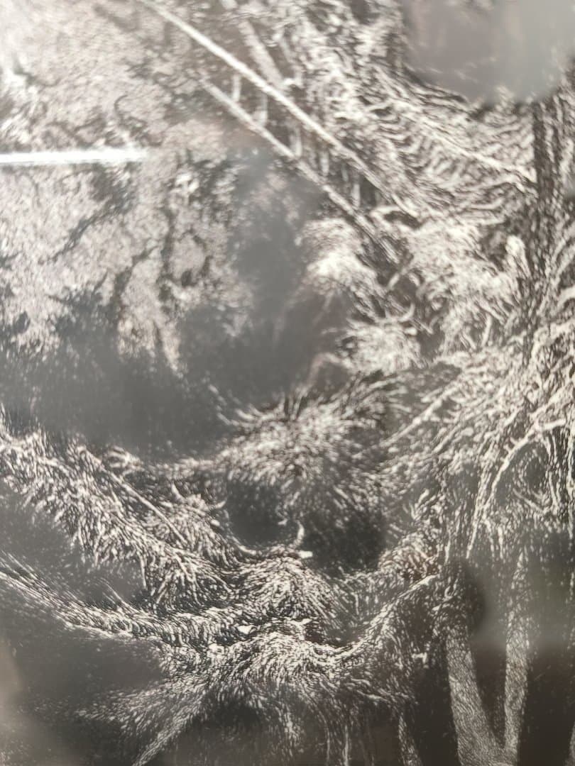 Albin Brunovsky 　アルビン・ブルノフスキー　版画　額