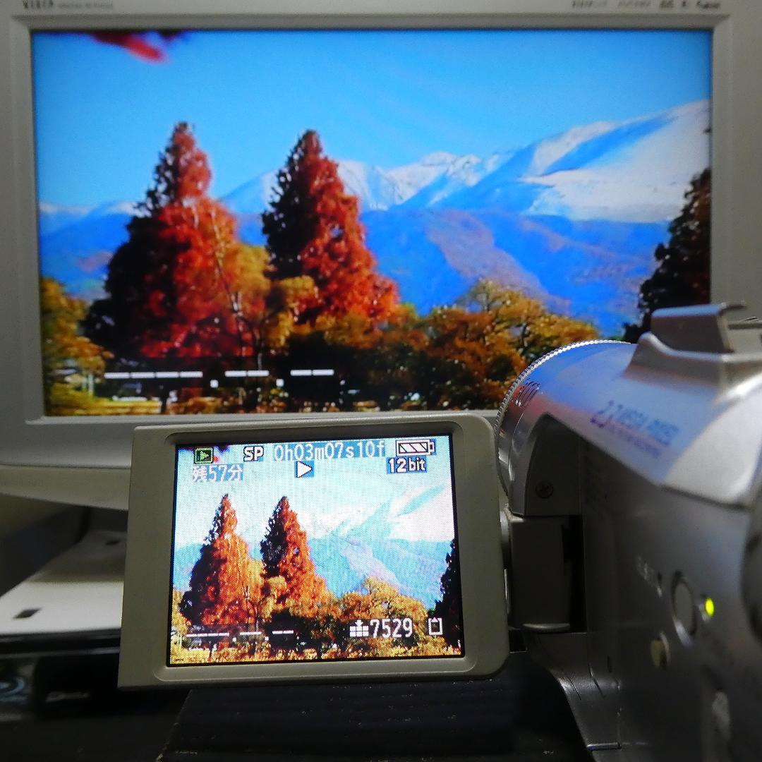 動作良好 パナソニックNV-GS150 MiniDVビデオ DVDダビングに最適