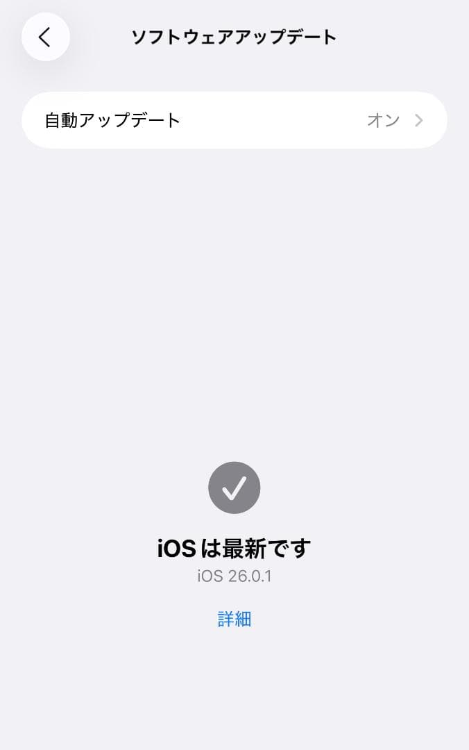 iPhone15 Pro Max 1TB ナチュラルチタニウム 海外版