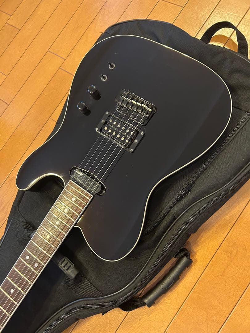 フェルナンデス TEJ サスティナー搭載