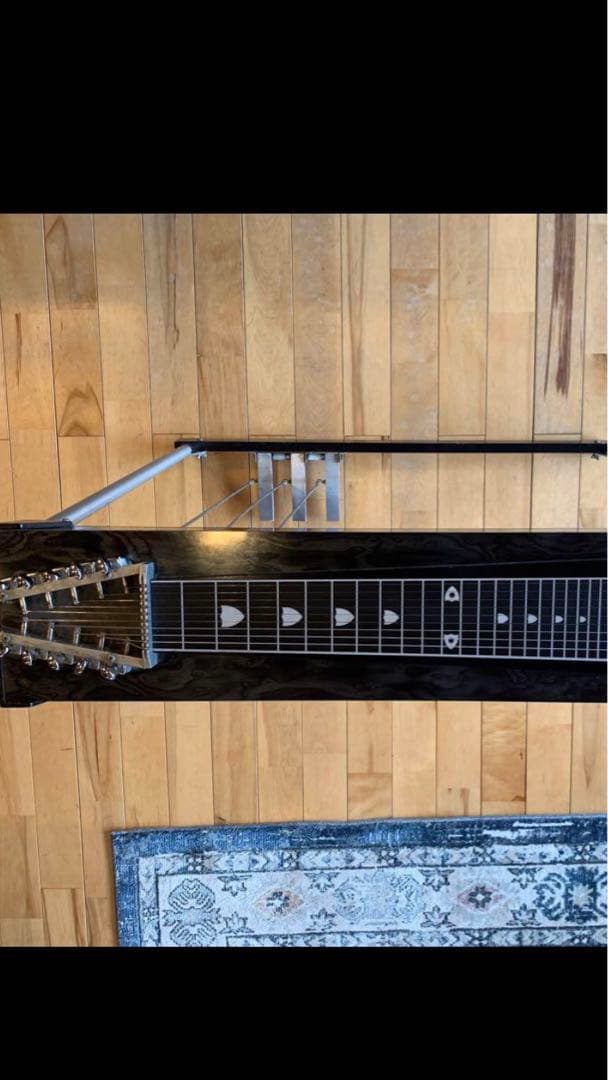 ペダルスチールギター E9 10弦