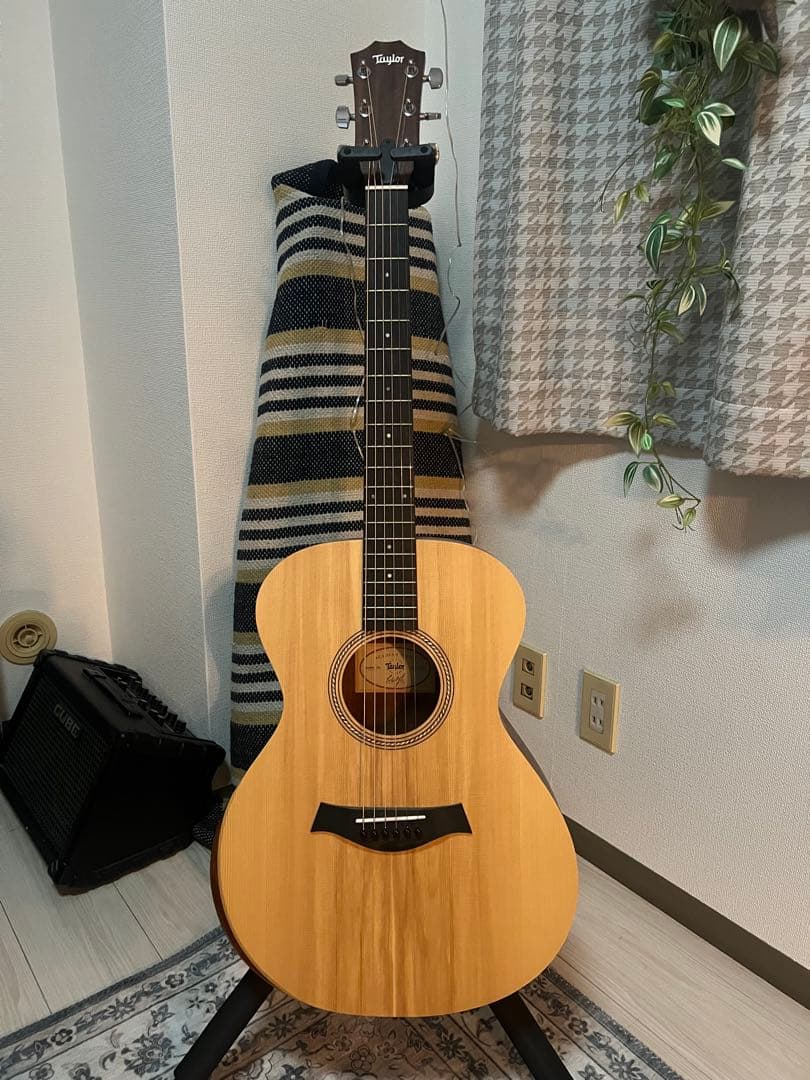 最終値段★Taylor Academy12e 24年購入 保証書あり ほぼ未使用