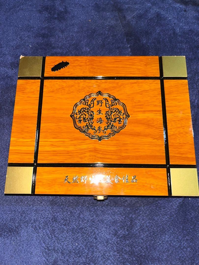 【希少】野生海参　乾燥ナマコ