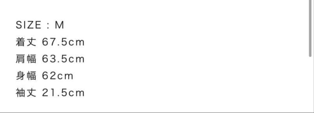 TTTMSW gingham check logo tee（WHITE） M