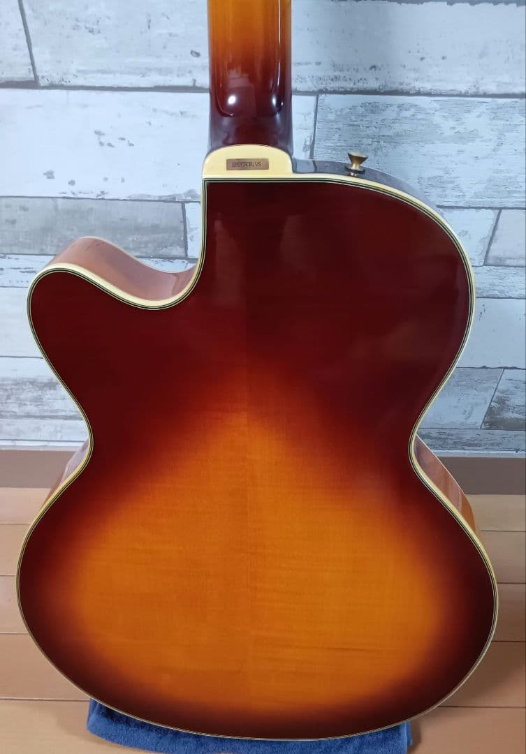 エピフォン フルアコ ジョーパス emperor II ビグスビー　ハードケース