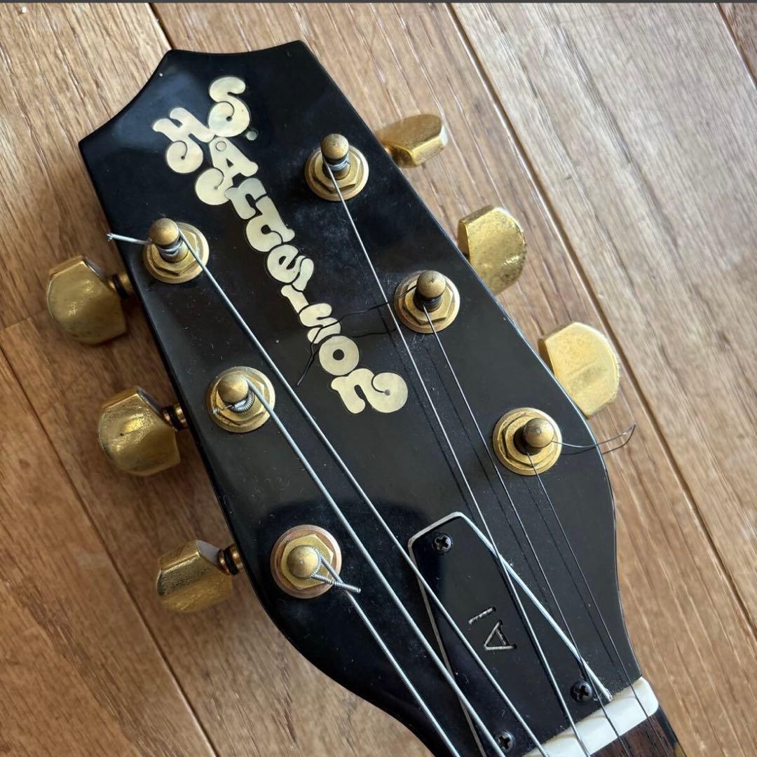 アンダーソン アップルギター