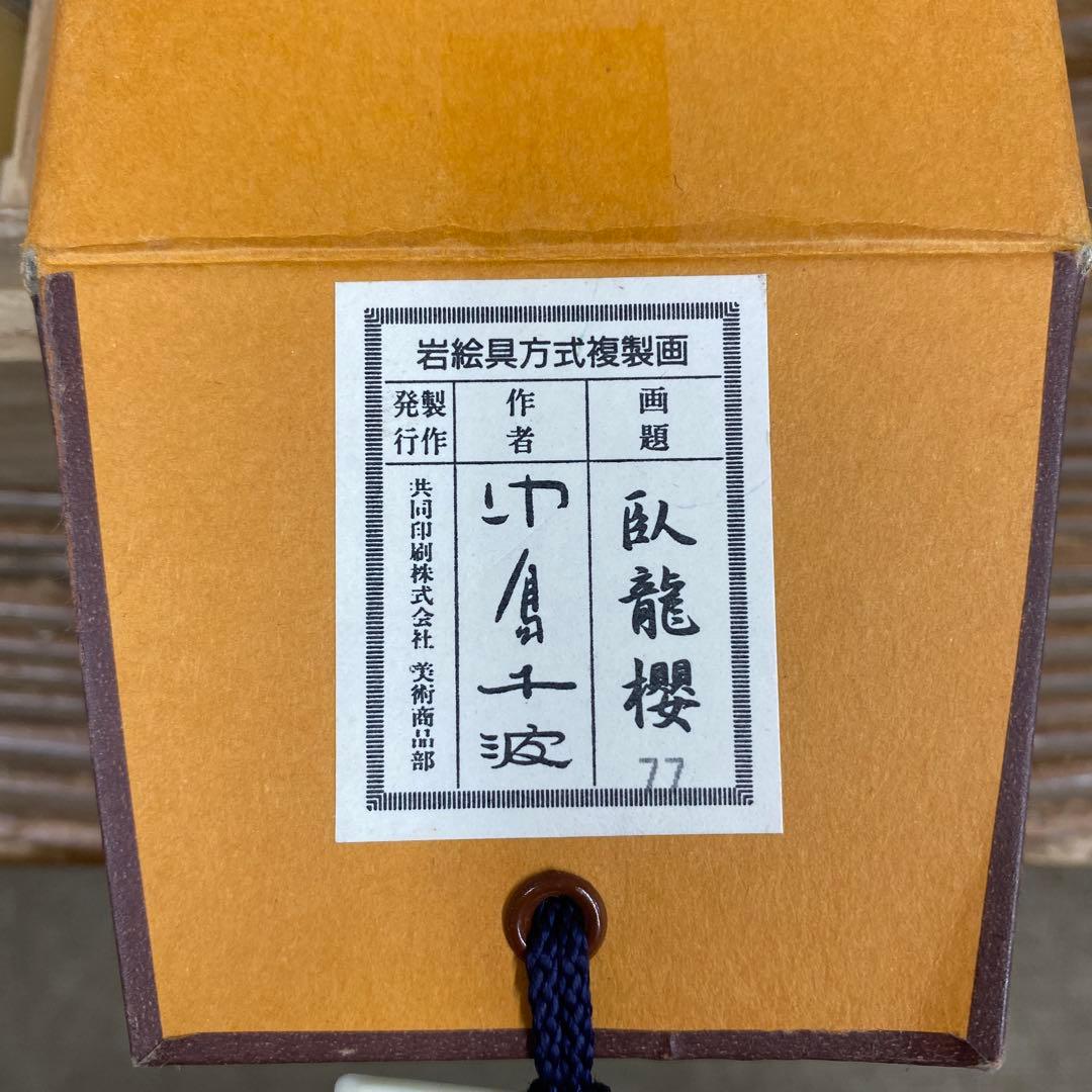 美品 掛け軸 中島千波筆「臥龍桜」名画 解説付 縁起物 日本画