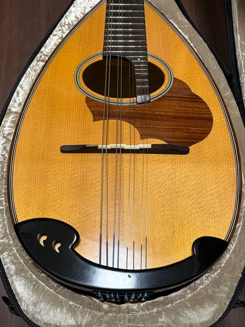 ✴︎美品✴︎ SUZUKI マンドリン M-30 & スーパーライトケース茶色